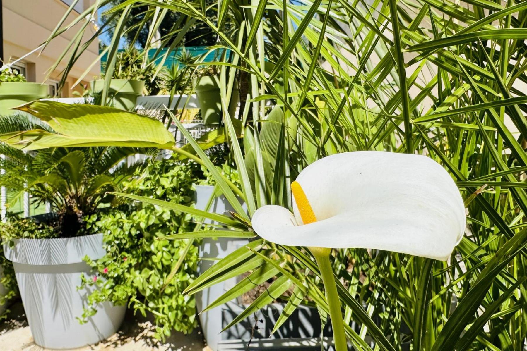 Appartement Ng - A 10 Mn Du Palais Des Festivals Cannes
